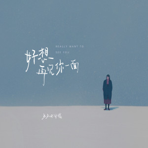 Listen to 好想再见你一面 song with lyrics from 卢卢快闭嘴