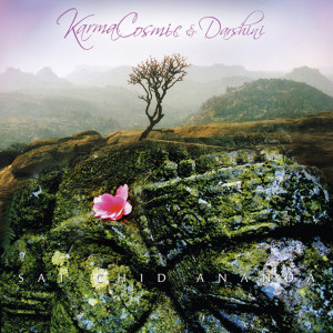 ดาวน์โหลดและฟังเพลง Sivananda Namah OM พร้อมเนื้อเพลงจาก Karmacosmic