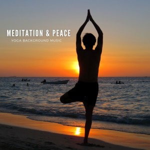 收聽Muyorican Healing Music的Detox歌詞歌曲