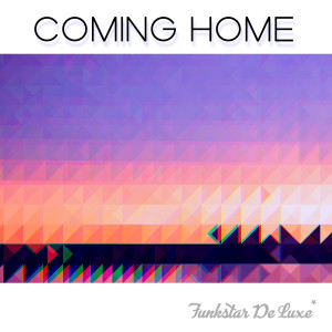 Funkstar De Luxe的專輯Coming Home (Edit)