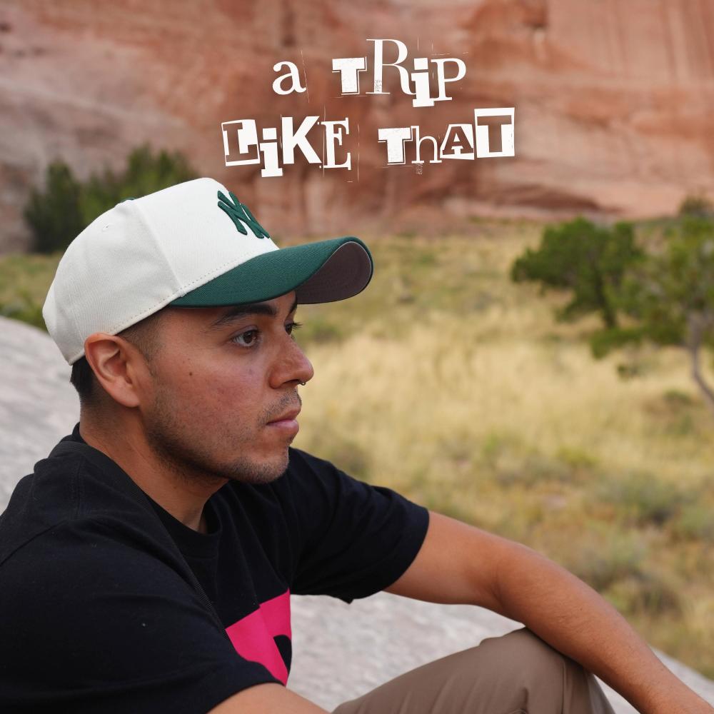 A Trip Like That (Explicit)