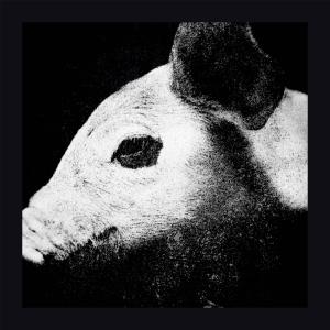อัลบัม Pigsty '22 (Explicit) ศิลปิน Greekboy