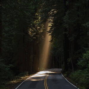 Listen to Chariot song with lyrics from Petula Clark