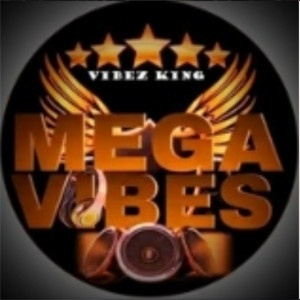 อัลบัม Bonaliza ศิลปิน Vibez King