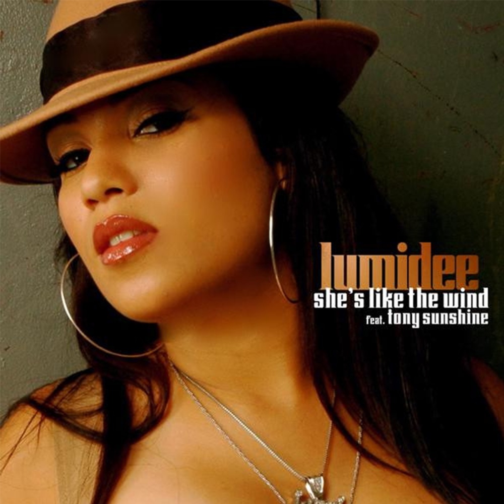 She's Like the Wind (Instrumental)