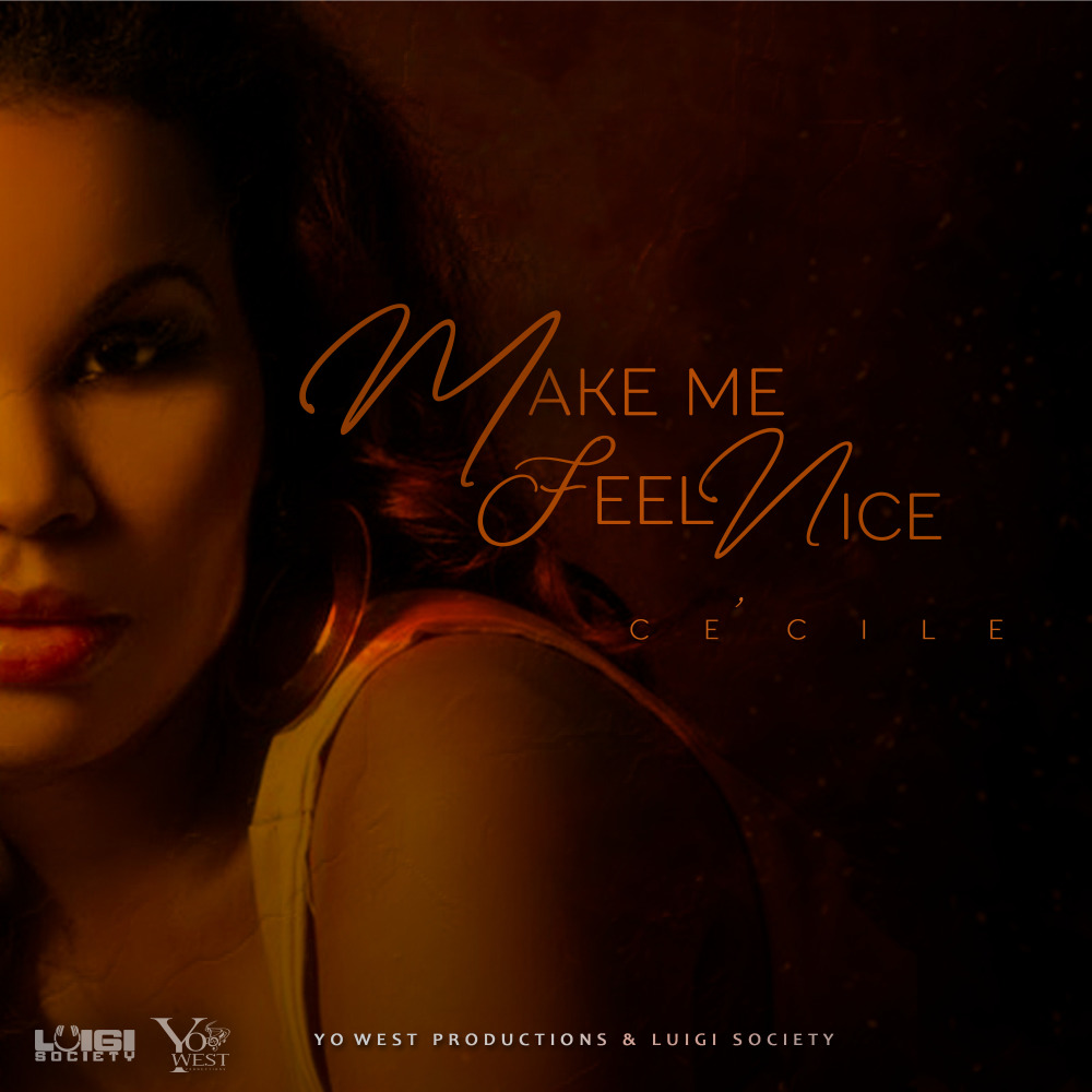 Make Me Feel Nice