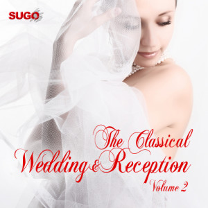 ดาวน์โหลดและฟังเพลง Kinderszenen, Op. 15: VII. Traumerei พร้อมเนื้อเพลงจาก Nina Postolovskaya