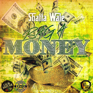 อัลบัม Bag a Money ศิลปิน Shatta Wale