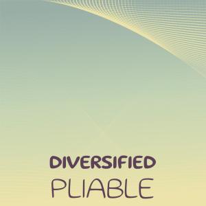 Listen to Enviable Flexibility song with lyrics from Ferdian Aguy