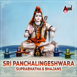 收听Divya Raghavan的Shiva Shiva Hara Hara Shambho歌词歌曲