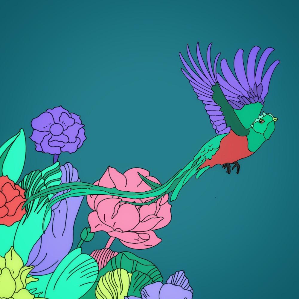 free like a bird