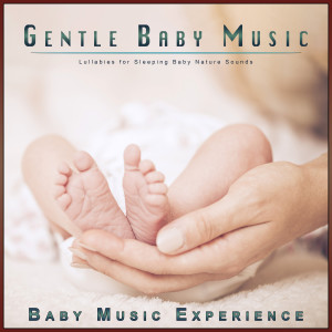 Baby Music Experience的專輯Gentle Baby Music: Lullabies for Sleeping Baby Nature Sounds