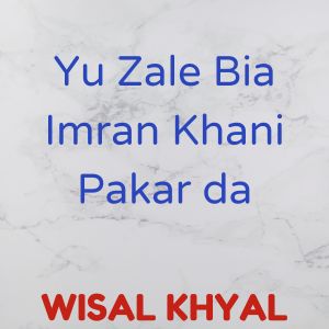 Listen to Yu Zale Bia Imran Khani Pakar da song with lyrics from Wisal Khyal