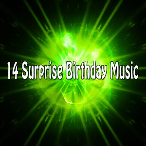 Happy Birthday的专辑14 Surprise Birthday Music