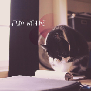 ดาวน์โหลดและฟังเพลง Study with Me พร้อมเนื้อเพลงจาก Exam Study Music Academy