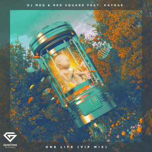 Listen to One Life (VIP Mix) song with lyrics from DJ MEG