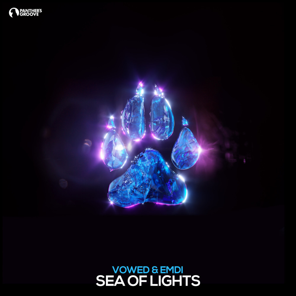 Sea Of Lights (Original Mix)