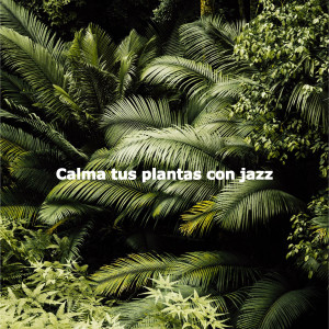 อัลบัม Calma tus plantas con jazz ศิลปิน Smooth Jazz Seduction
