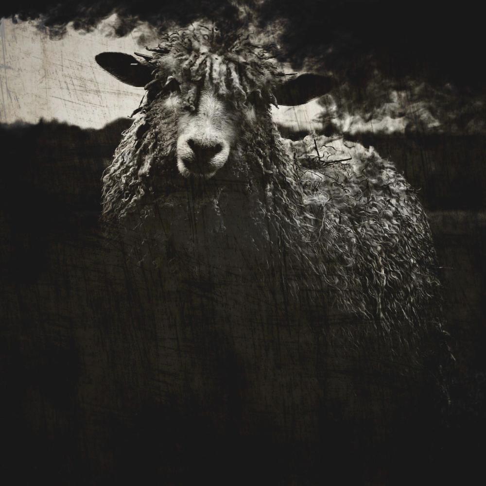Black Sheep II (feat. Manzy)