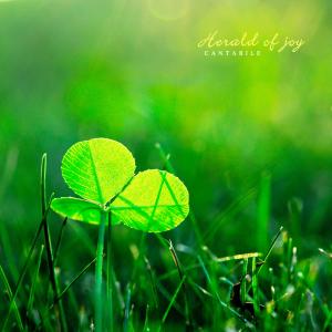 Album Share Your Joy oleh Cantabile