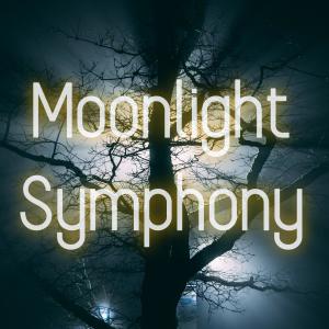 OdinMann的專輯Moonlight Symphony