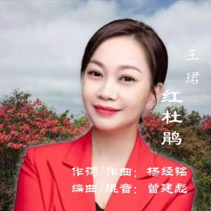 Listen to 红杜鹃( 伴奏版) (完整版) song with lyrics from 曾建彪