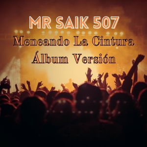 Album Meneando La Cintura (Álbum Versión) from MR SAIK 507