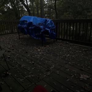 Dengarkan Ru6e- Dreams (Explicit) lagu dari LILJO dengan lirik