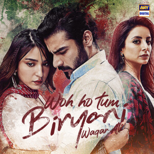 Listen to Woh Ho Tum (From "Biryani") song with lyrics from Waqar Ali
