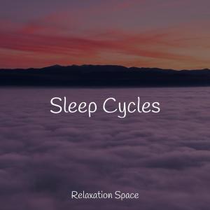 Relaxation Space的專輯Sleep Cycles