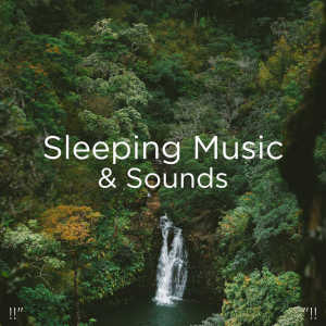 Listen to Calm song with lyrics from Sleep Sounds of Nature