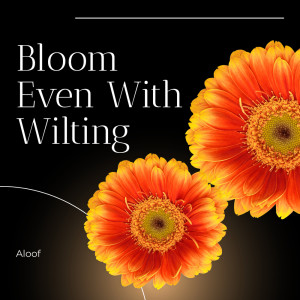 Listen to Bloom even with wilting song with lyrics from Aloof