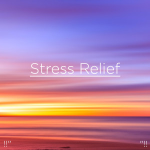Nature Sounds Nature Music的專輯Stress Relief