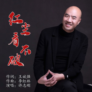 Album 红尘看不破 from 王斌强