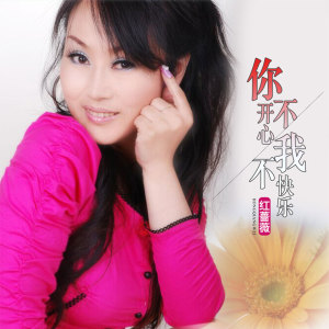 收听红蔷薇的你不开心我不快乐 (伴奏)歌词歌曲