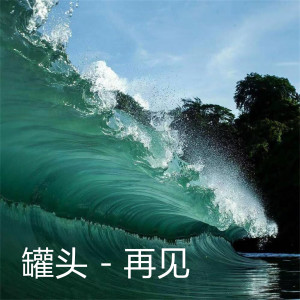 Album 再见 from 罐头