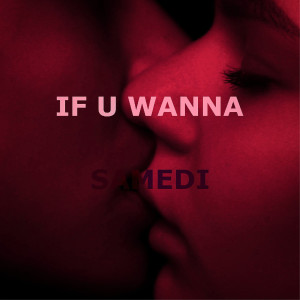 Album If U Wanna from 