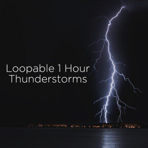 Listen to Rainforest Rain song with lyrics from Thunderstorm Sound Bank