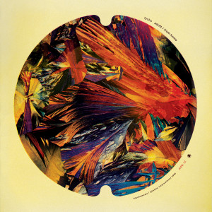 ดาวน์โหลดและฟังเพลง From Home พร้อมเนื้อเพลงจาก Tycho