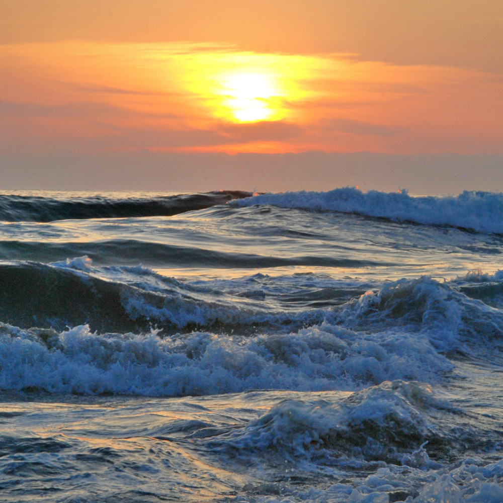 Harmony in Efficiency Waves