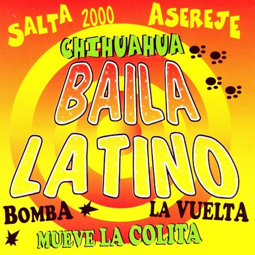 Chihuahua