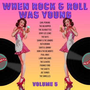 Various Artists的專輯When Rock and Roll Was Young, Vol. 5