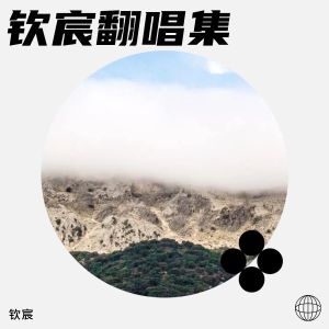 收聽欽宸的時間都去哪兒了 (cover: 王錚亮) (完整版)歌詞歌曲