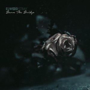 ดาวน์โหลดและฟังเพลง L V H P (Explicit) พร้อมเนื้อเพลงจาก Elwood Stray