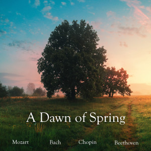 Fryderyk Chopin的專輯A Dawn of Spring