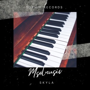 Listen to Skyla (Original Mix) song with lyrics from Msolnusic