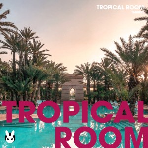 Various Artists的專輯Tropical Room
