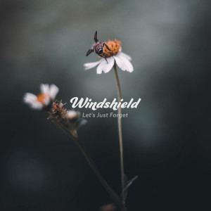 windshield的专辑Let's Just Forget