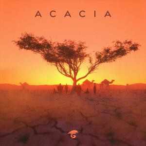 Album A New Heart from Archr