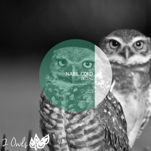 Listen to Zig Zag song with lyrics from Nabil CQFD